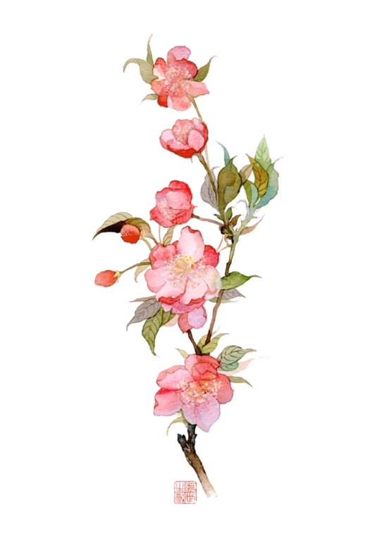免抠 粉色 花 触漫 系列