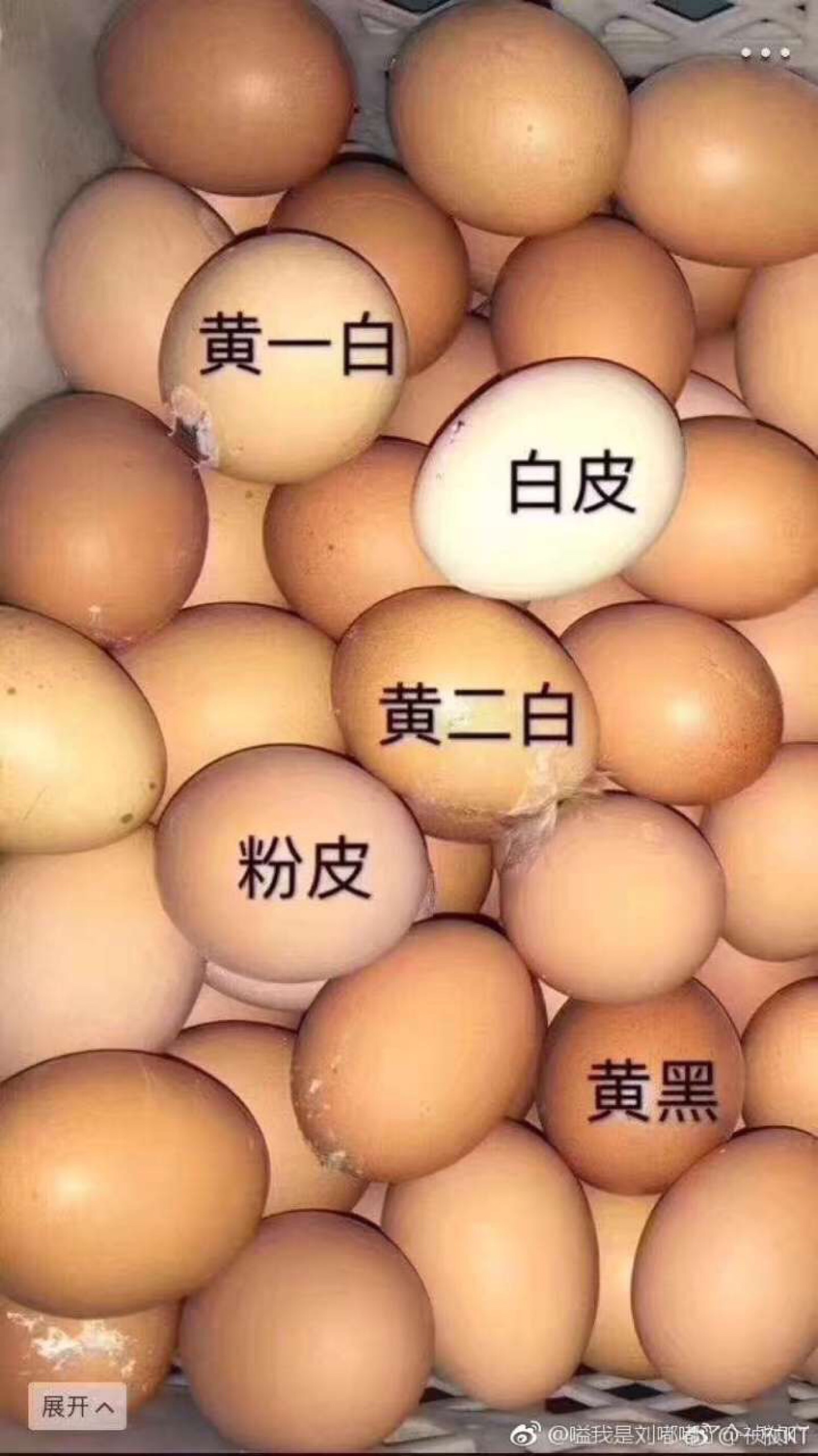 皮肤的白黄程度对比图