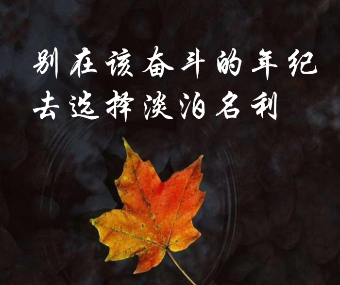 别在该奋斗的年纪去选择淡泊名利