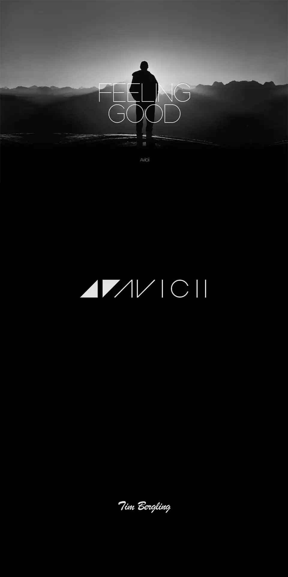 forever avicii forever without you thanks,tim
