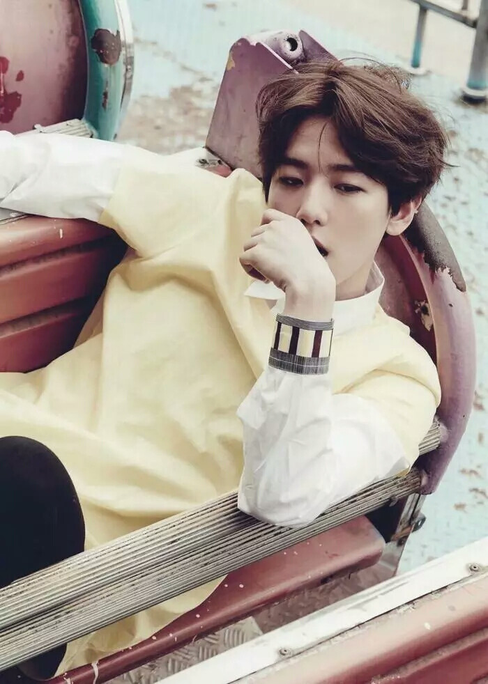 金俊勉suho 张艺兴lay 金钟仁kai 金钟大chen 朴灿烈 chanyeol 边伯贤