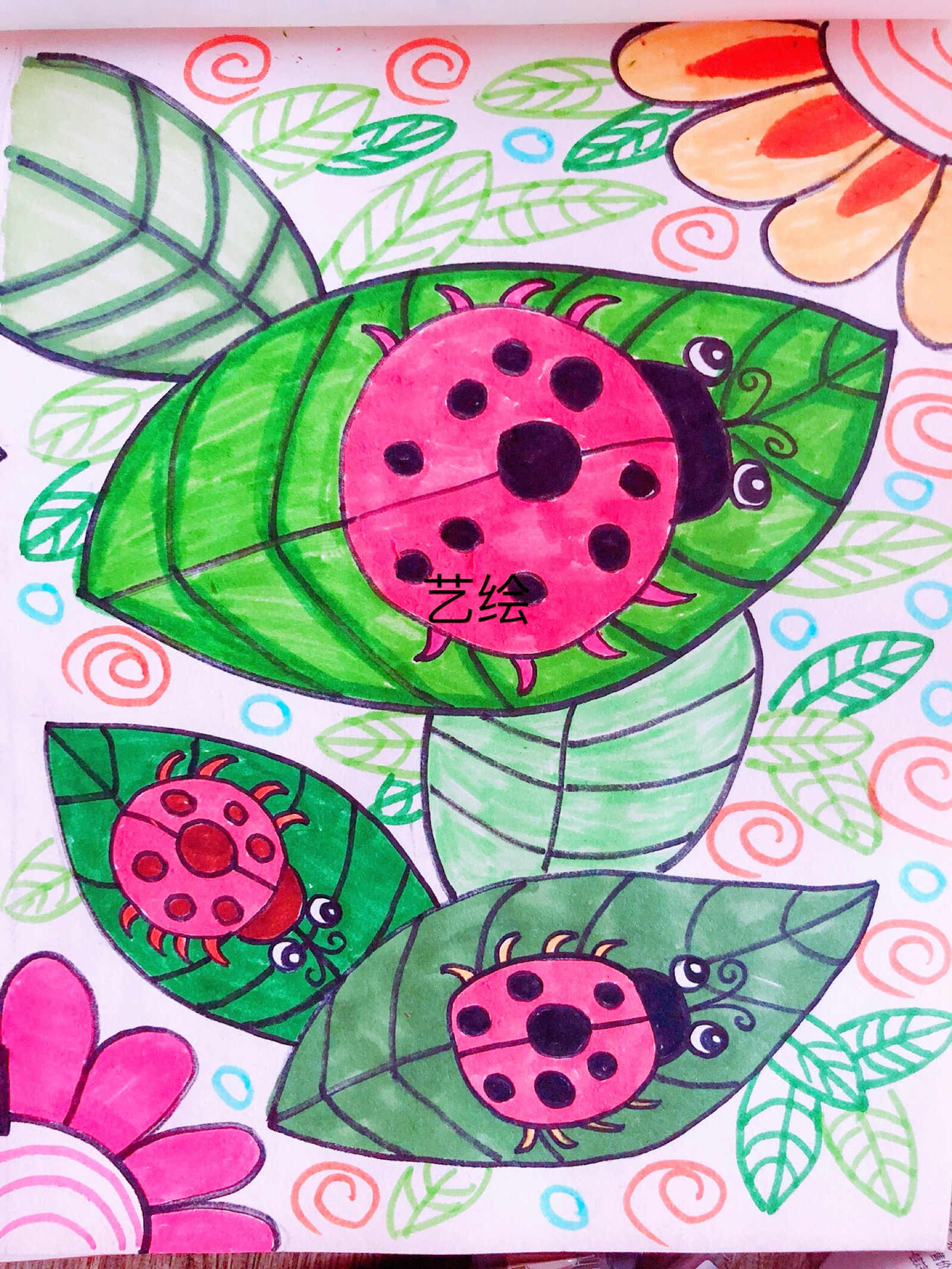 甲壳虫简笔画带颜色图片