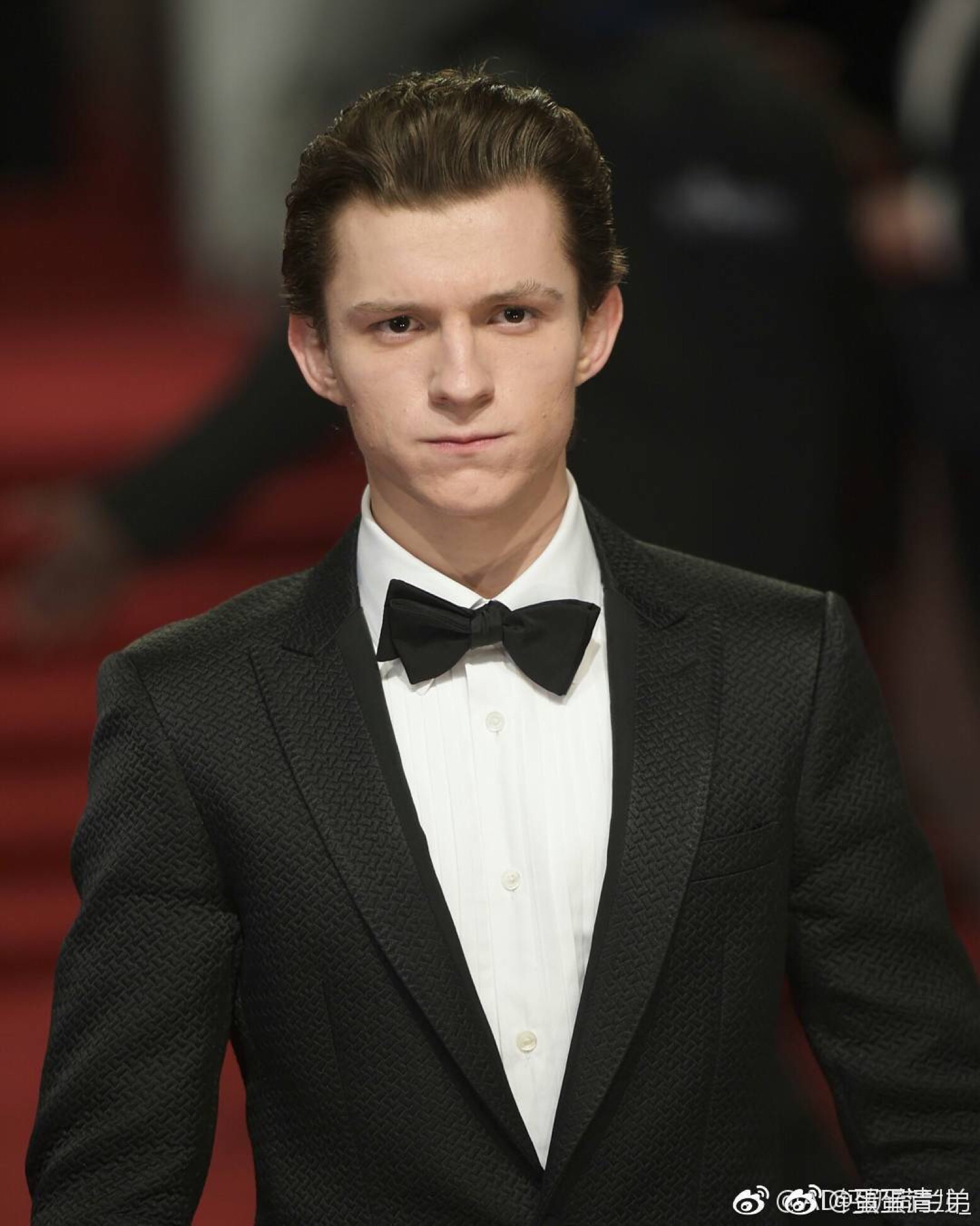 汤姆赫兰德蜘蛛侠×钢铁侠荷兰弟rdj