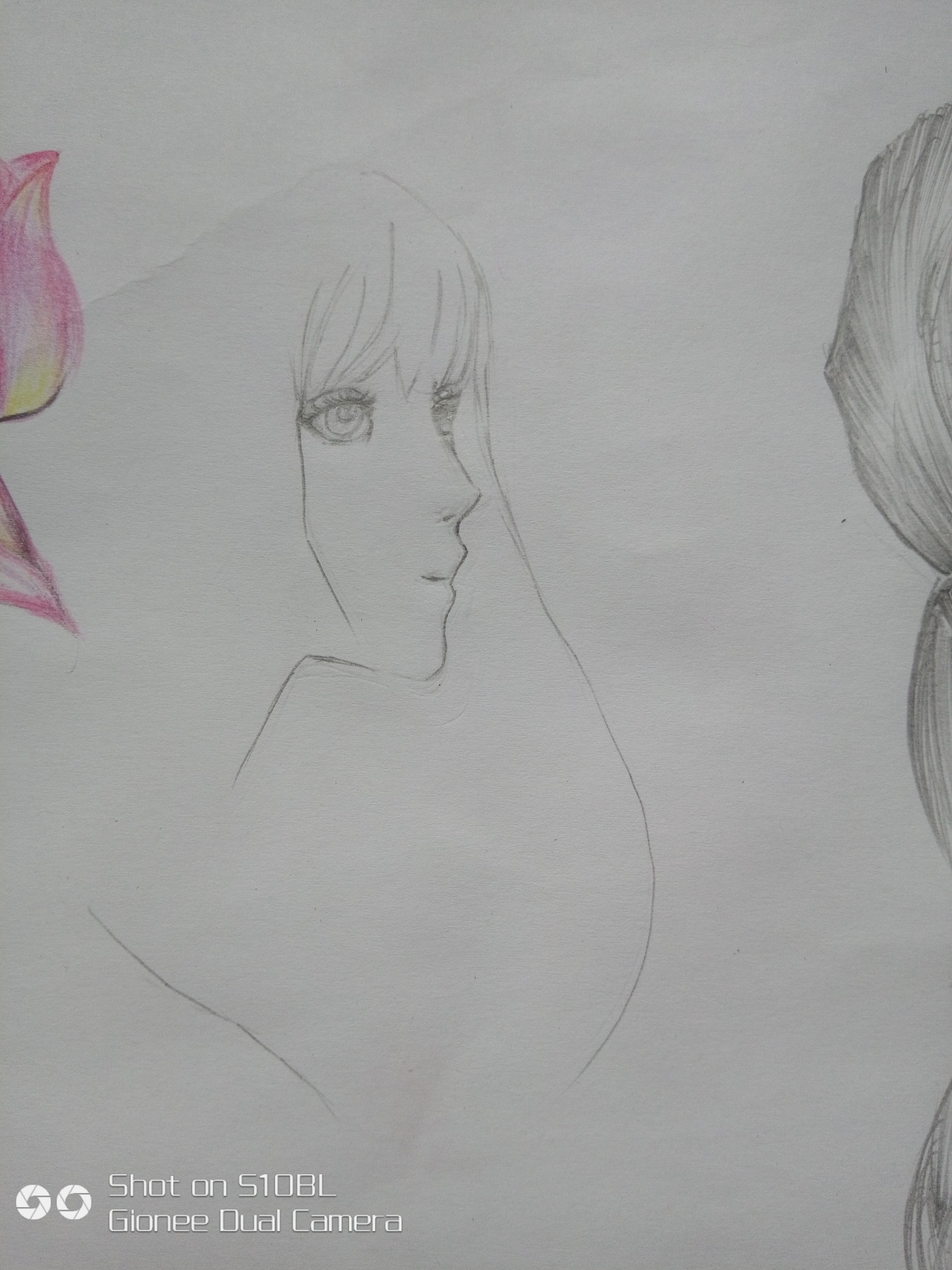 更新一系列的素描画.新手刚上道.,如有画得不好的,请指教.