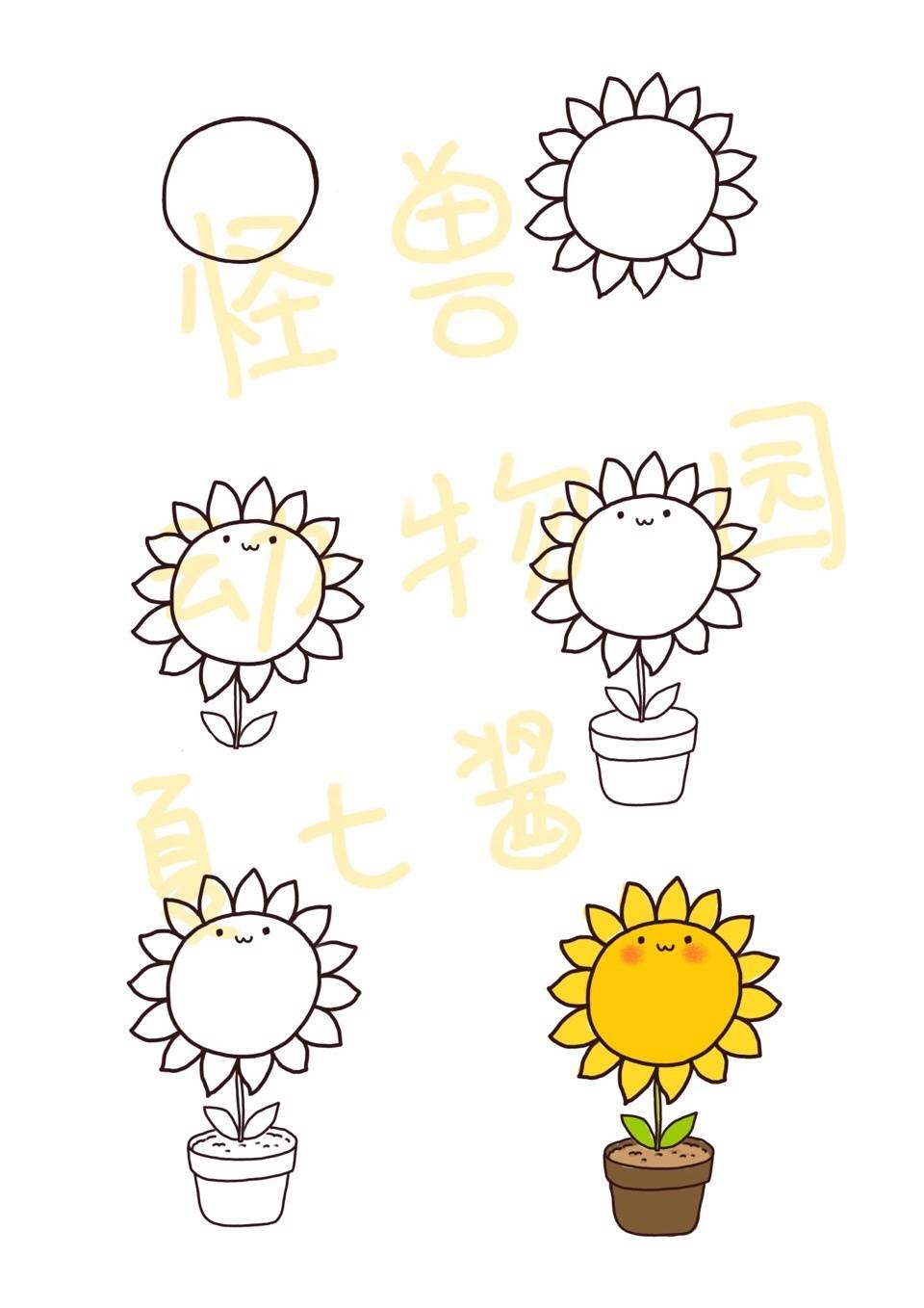 夏七酱,向日葵简笔画