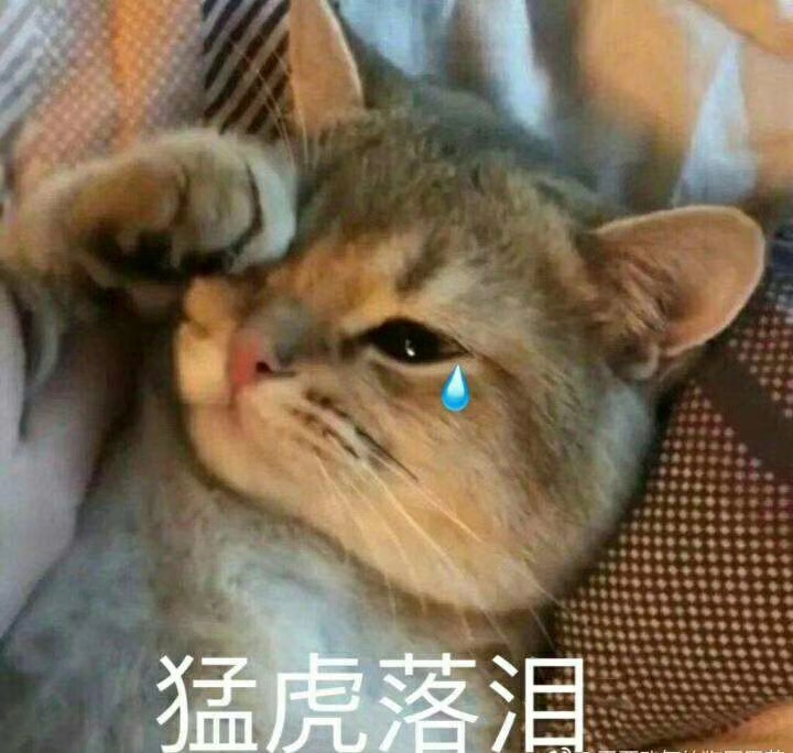 猛虎落泪