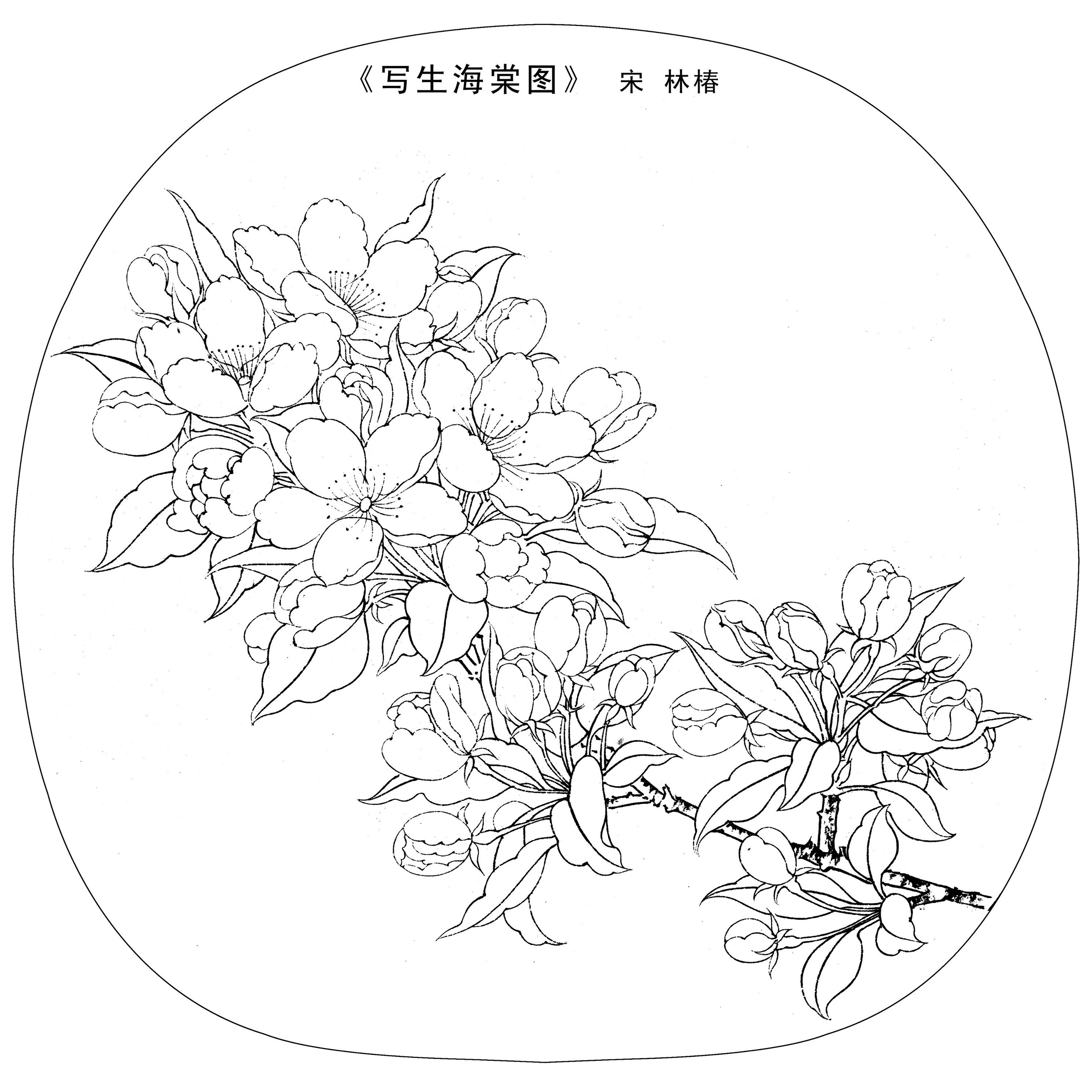 儿童画素材白描线描速写