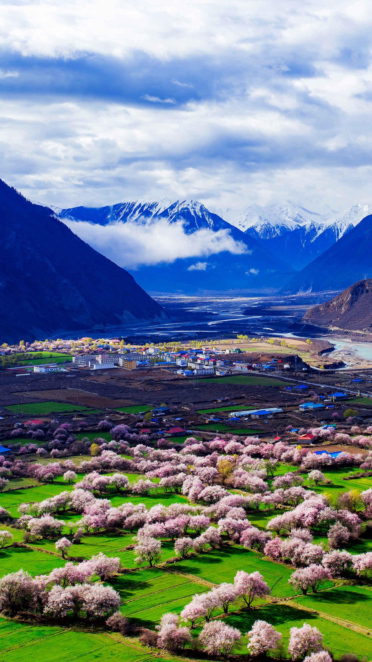 被誉为西藏江南的林芝,这里有一派森林云海风光,是赏景及探险的好