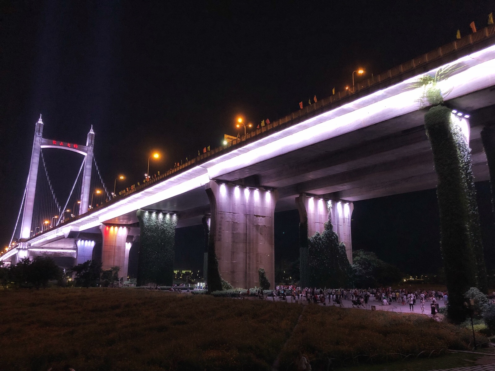 福州花海公园夜景图片