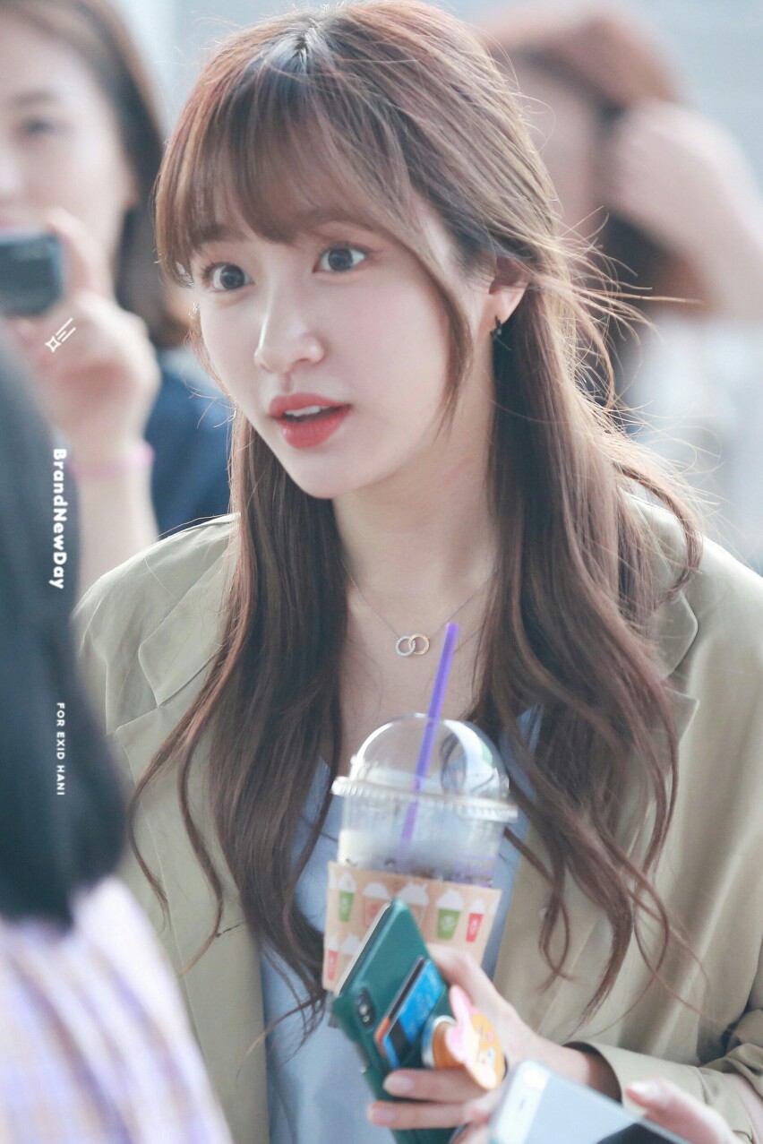 exid安喜延hani