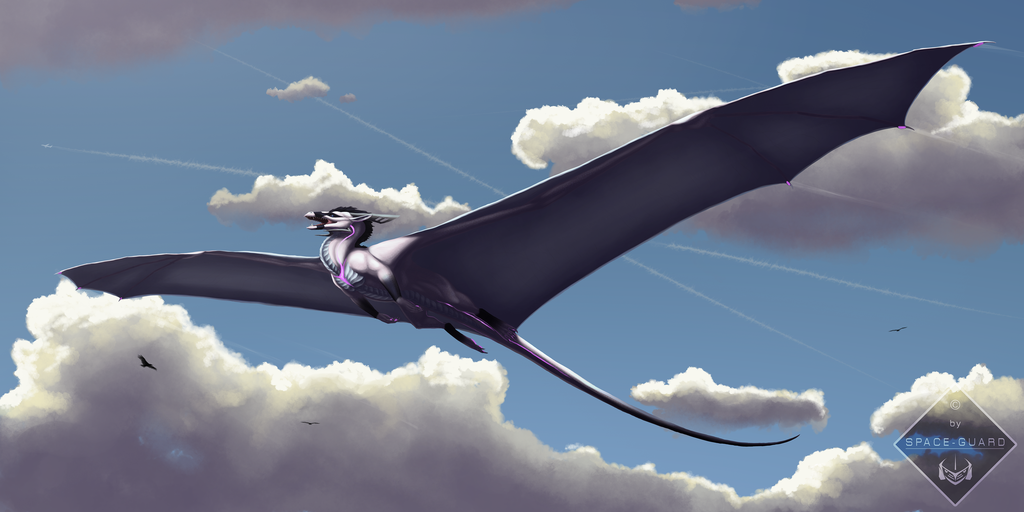 飞行的龙～(翅膀好好看～)