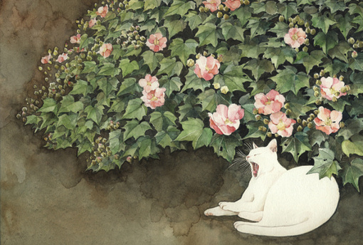 日本插画师midori yamada喜欢画猫,她笔下的喵星人总是慵懒怡然,摆着