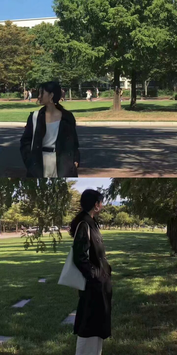 我的公主殿下 臣 退了