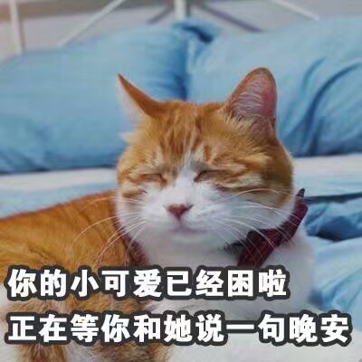 小可爱表情包