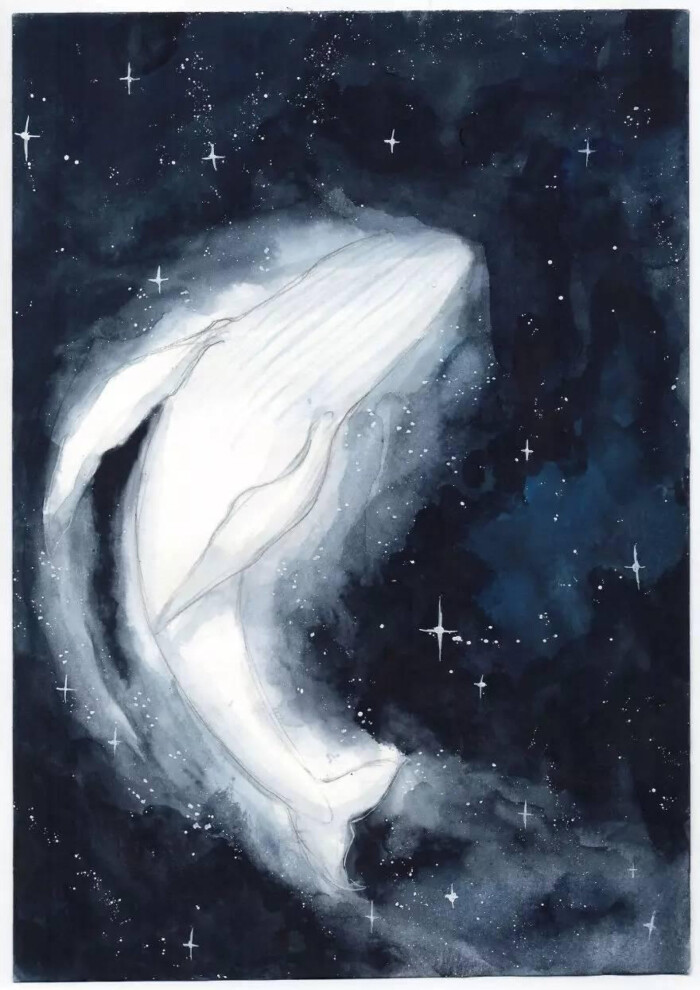 星空动物剪影 鲸狐