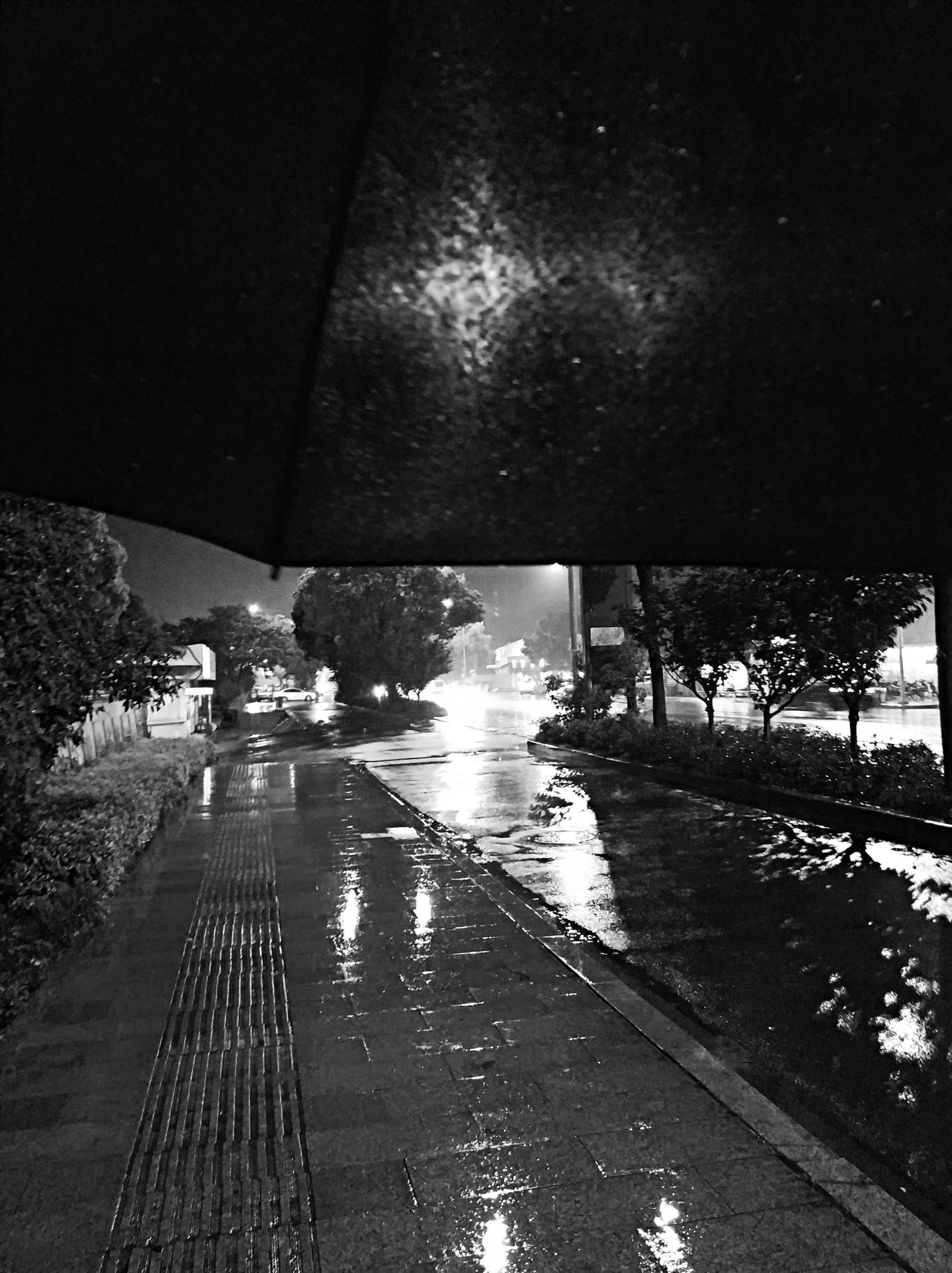 雨天,苏州街头和我的黑伞