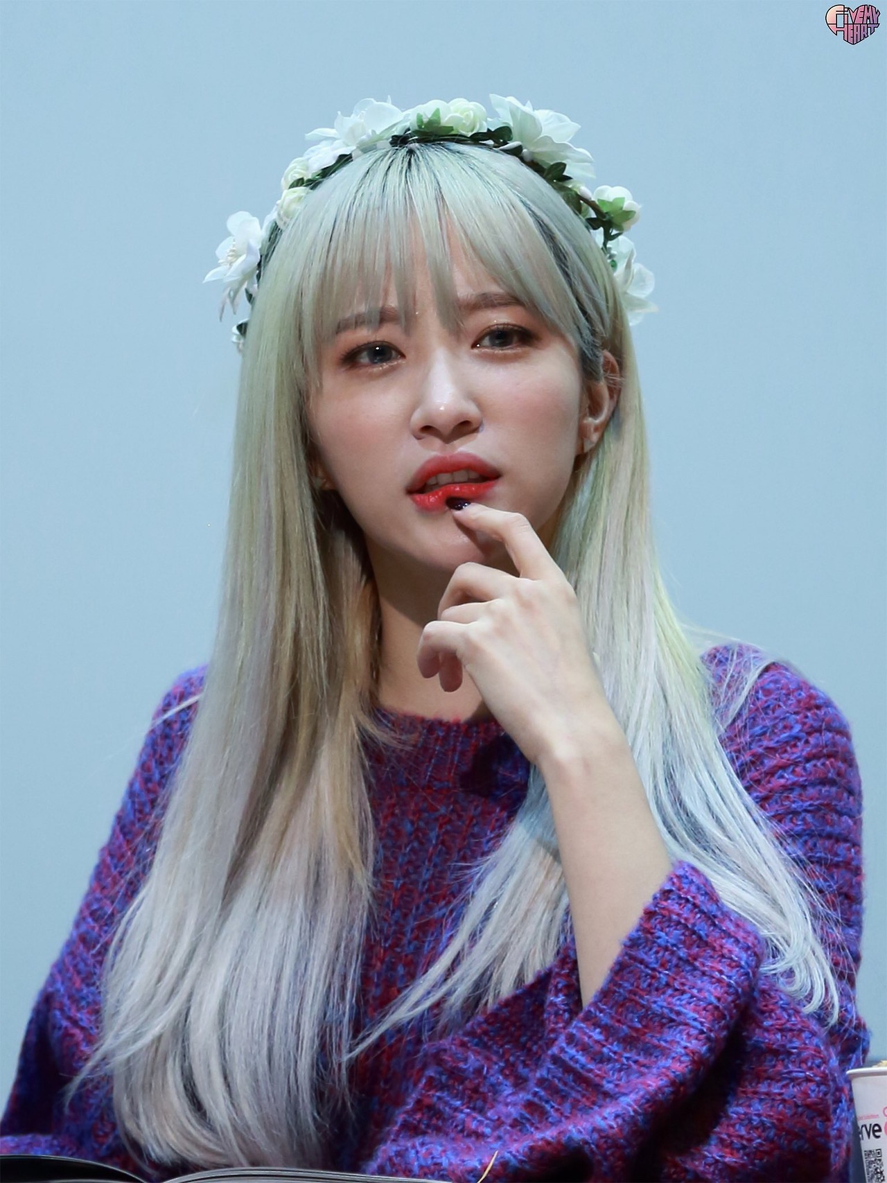 hani