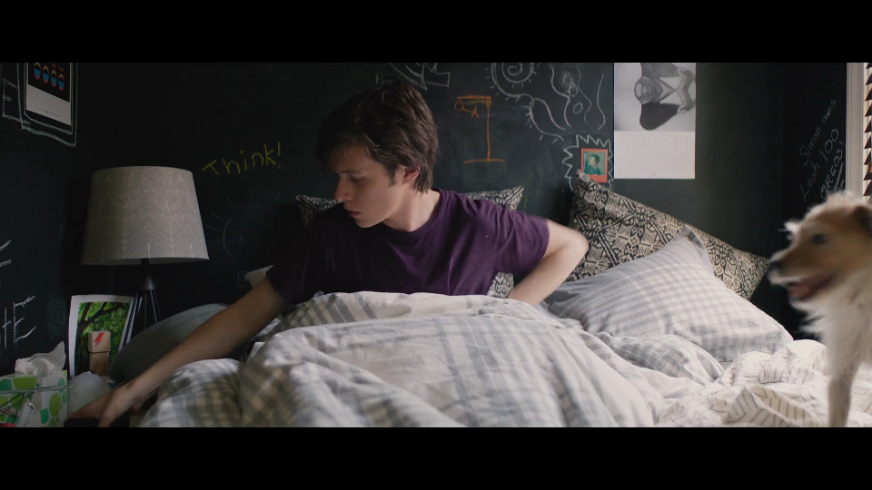 爱你西蒙 love,simon