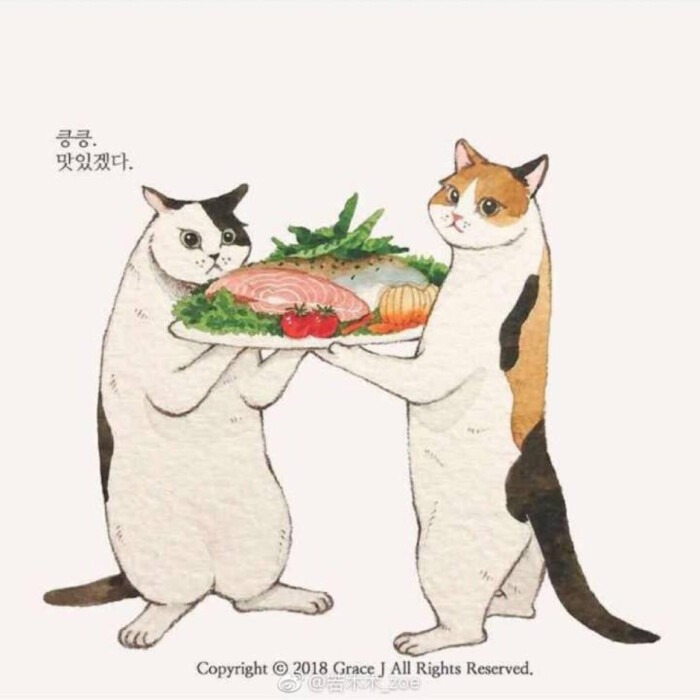 萌宠猫咪,韩式手绘图.