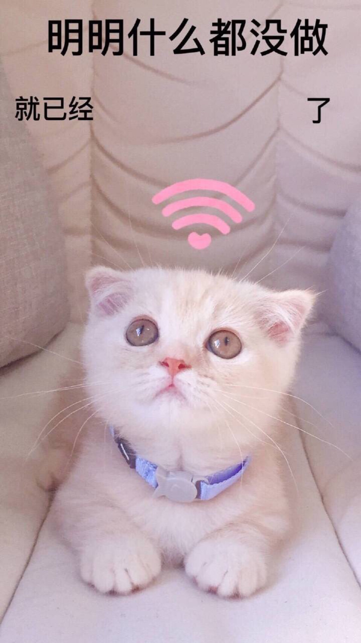 拖延症壁纸