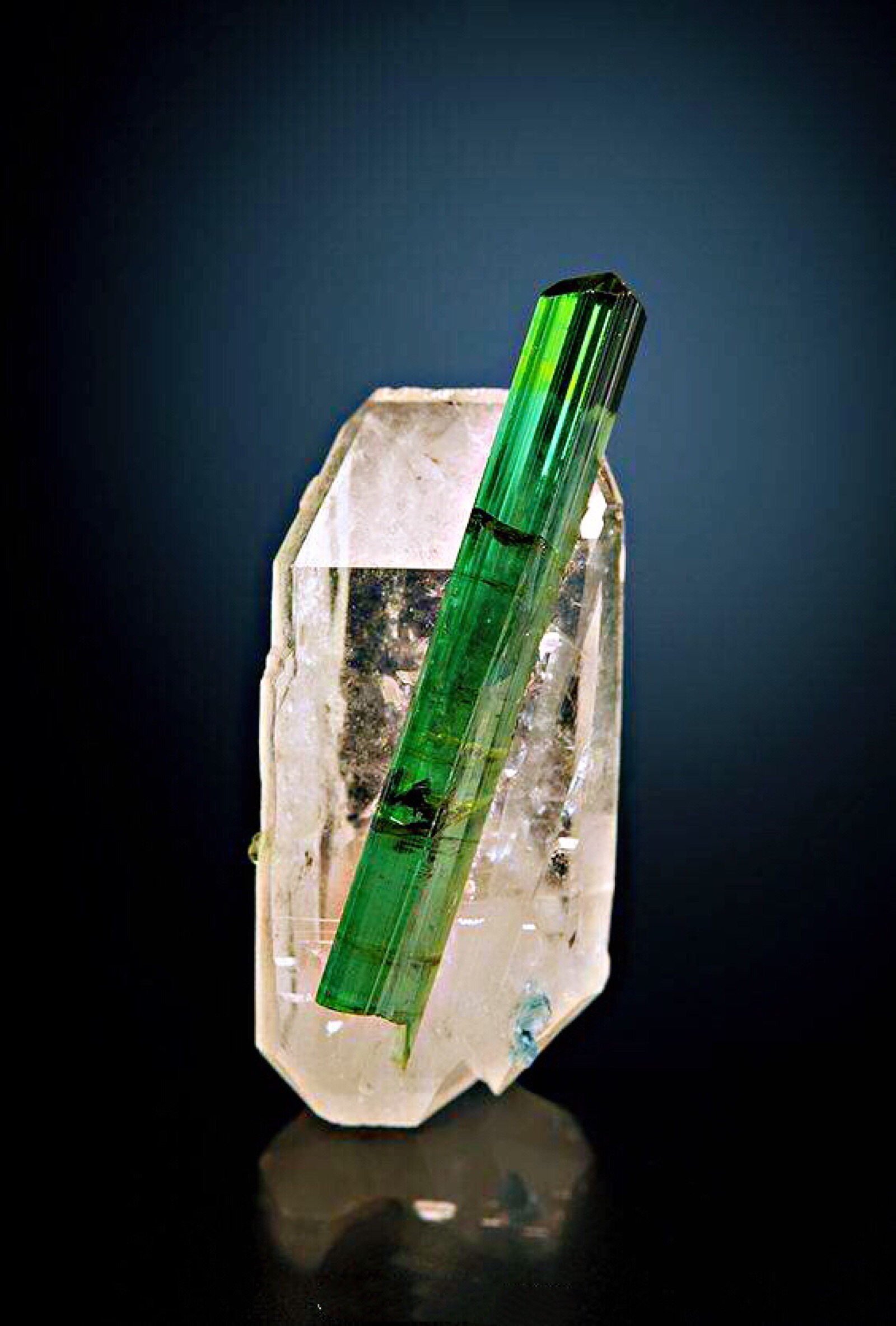 石英上的锂电气石 elbaite on quartz 这个长得可爱啊