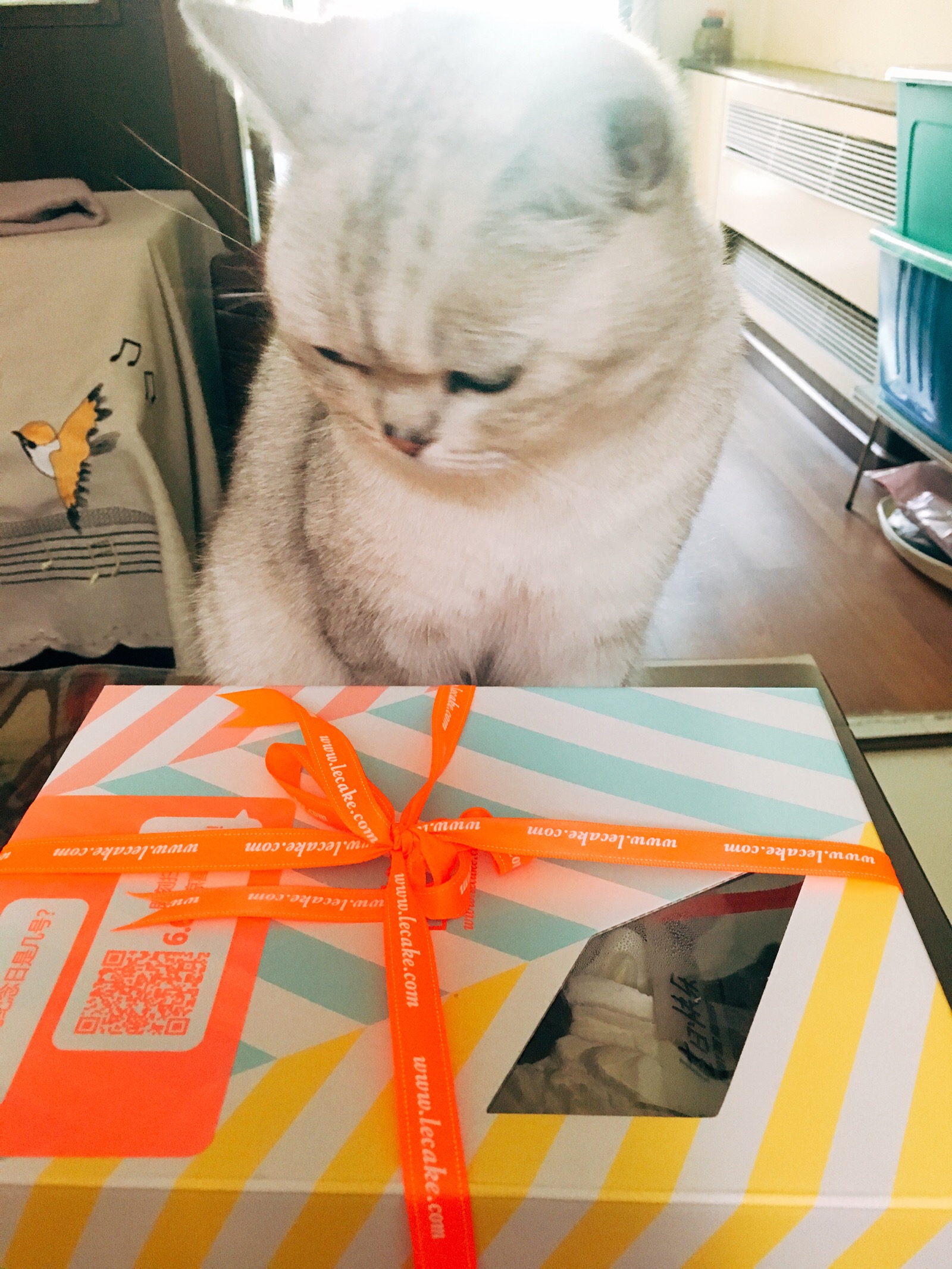 6月24日 4:12   关注  评论 收藏