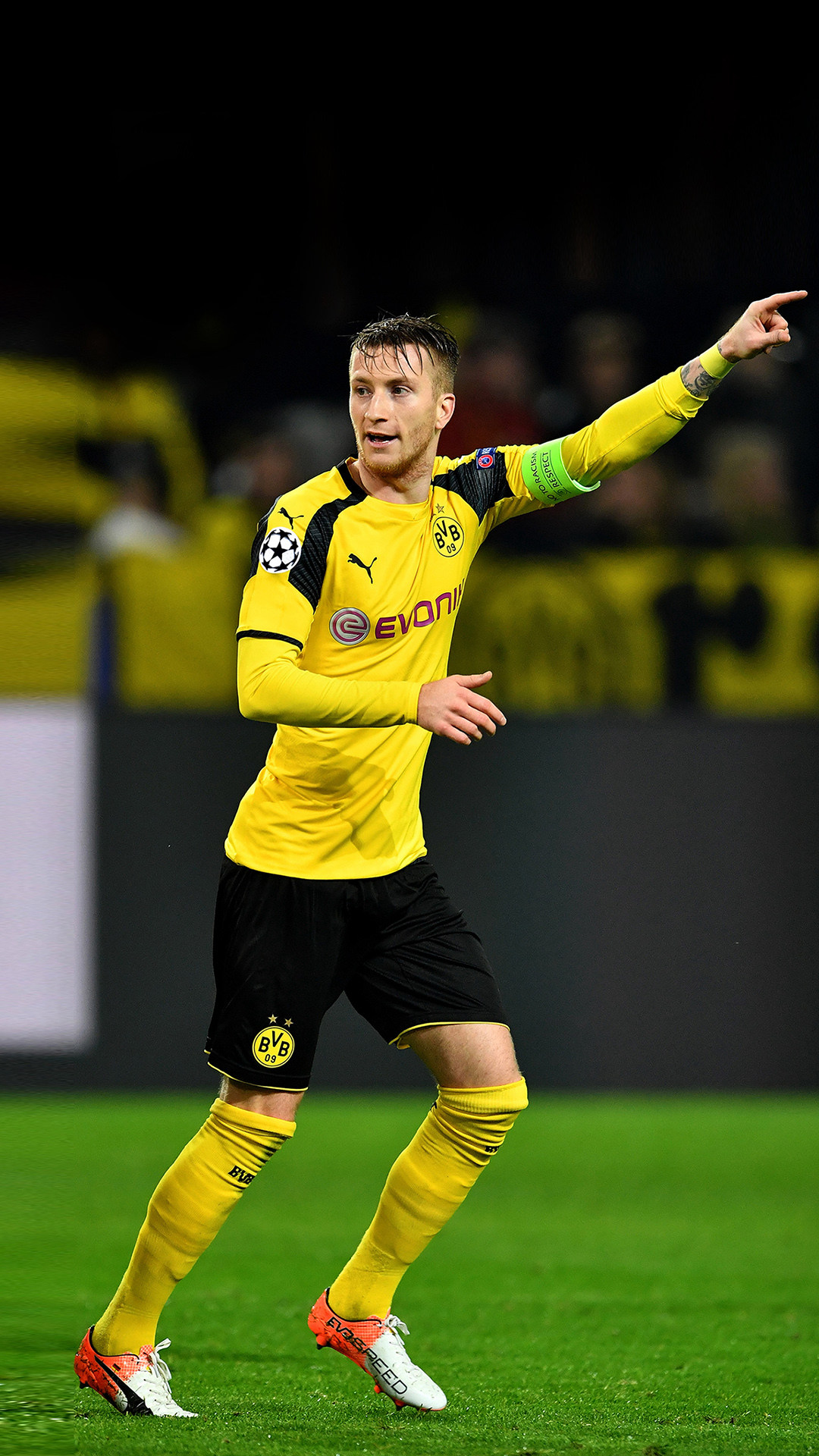 uktra-i  6月24日 19:04   关注  reus 收藏