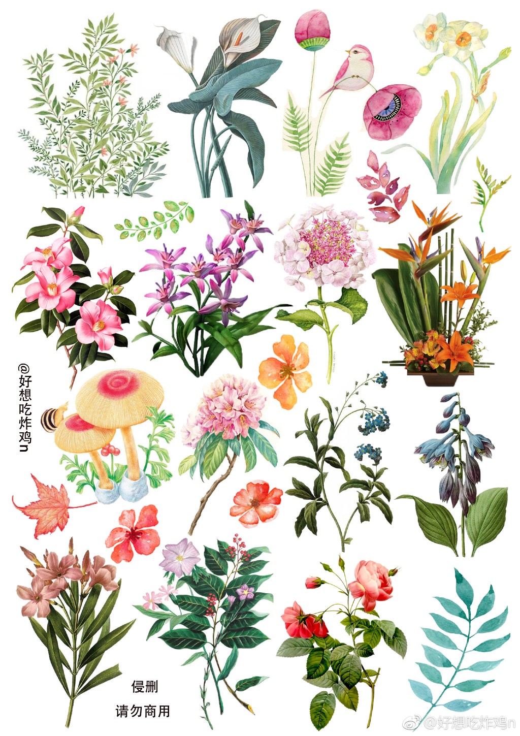 手账素材打印图片