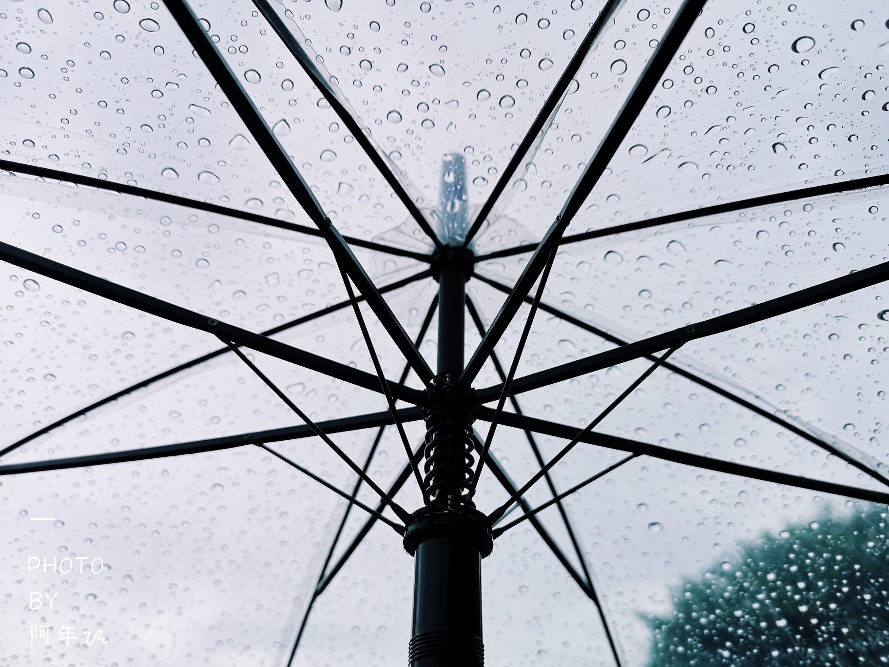 爱在过境雨天雨伞