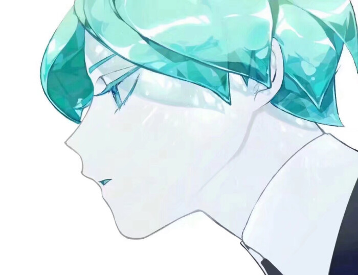 宝石之国情头磷叶石