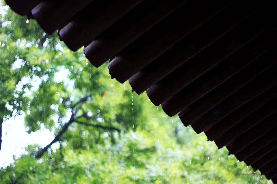 雨天的小清新