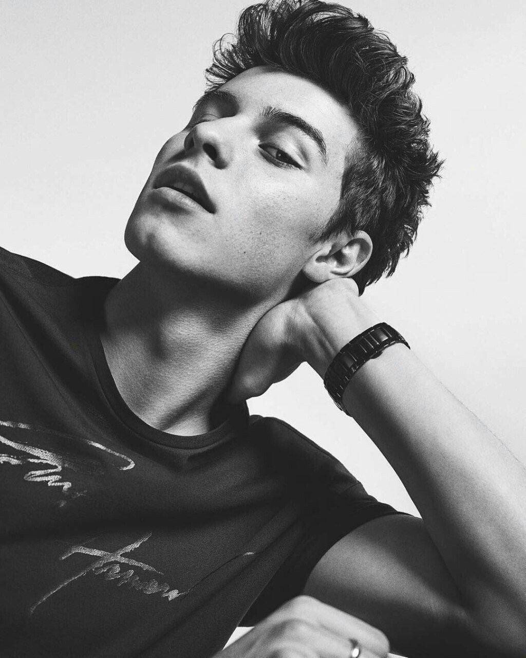 shawn 萌德
