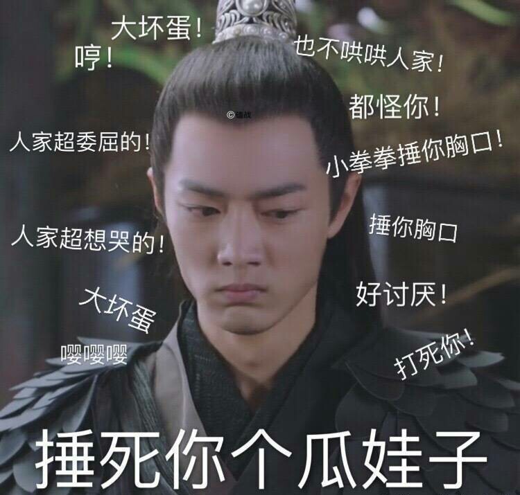 肖战 皇叔表情包