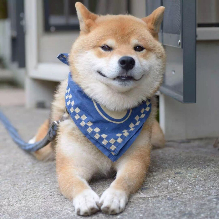 ryuji