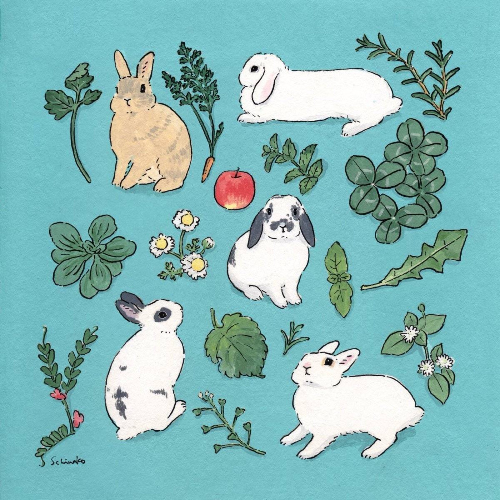 森山标子的兔兔系列