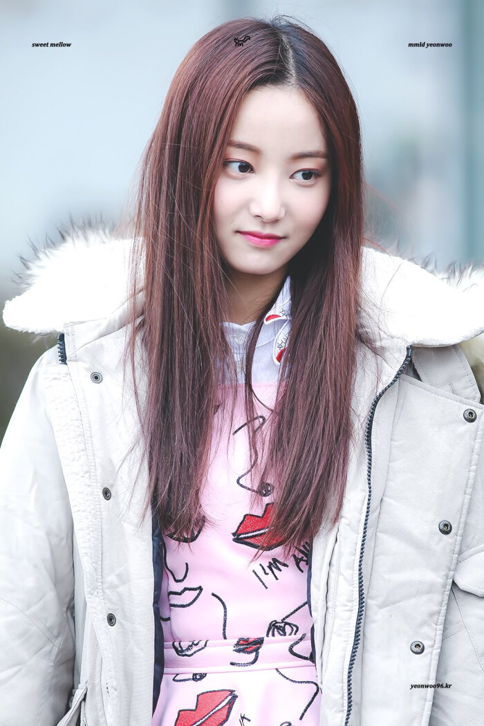 momoland 妍雨