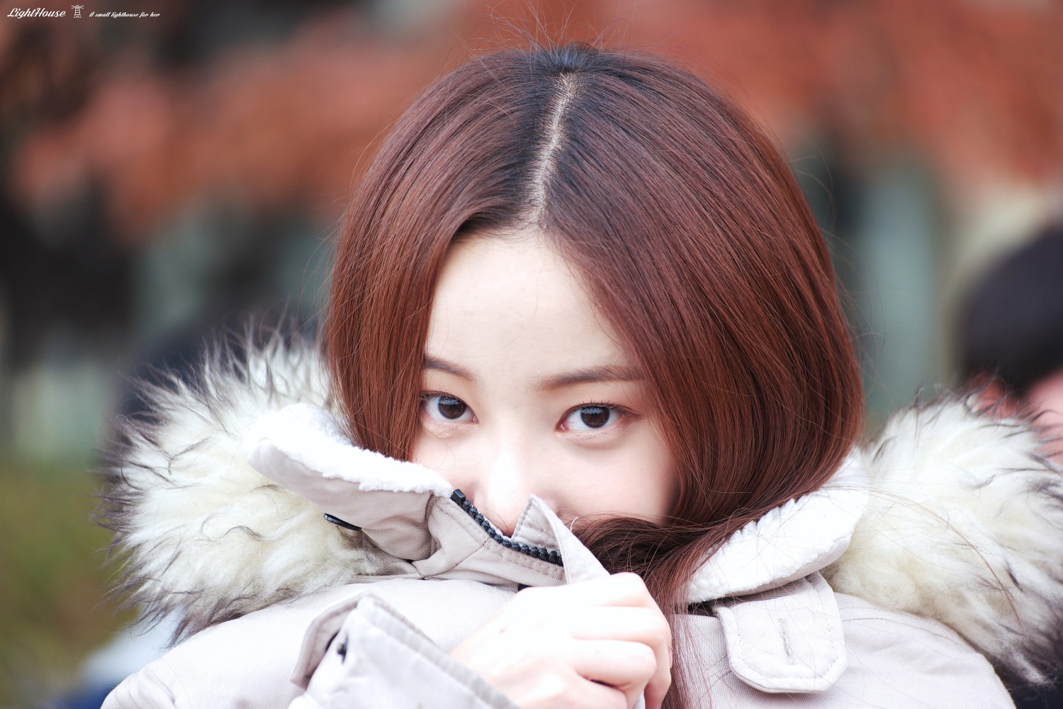 momoland 妍雨