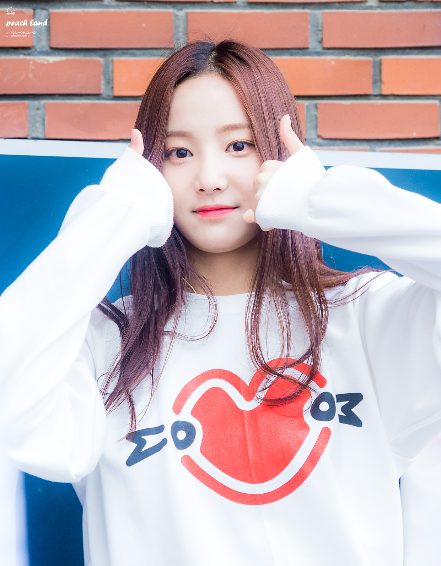 妍雨160923 chengwon高中庆典 cr[momoland_kr]