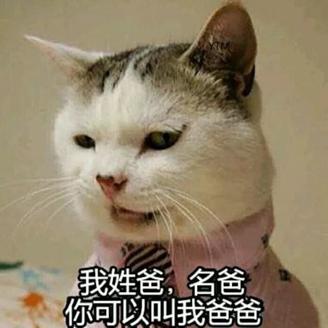 超可爱表情包