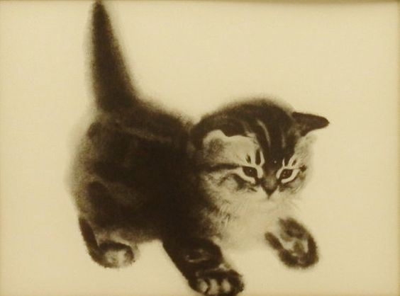 猫咪· 国画