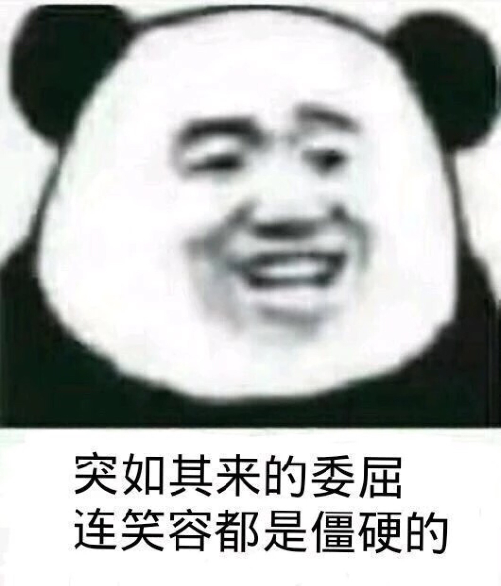 表情包哈哈哈
