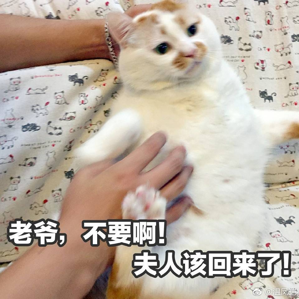 不要啊老爷