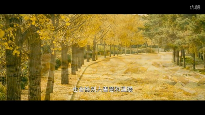 无问东西电影清华蝙蝠侠a东西骑士电影网图片