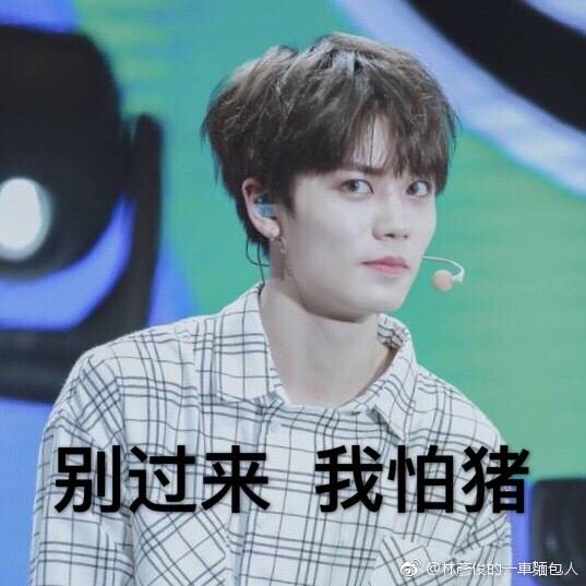 林彦俊 表情包