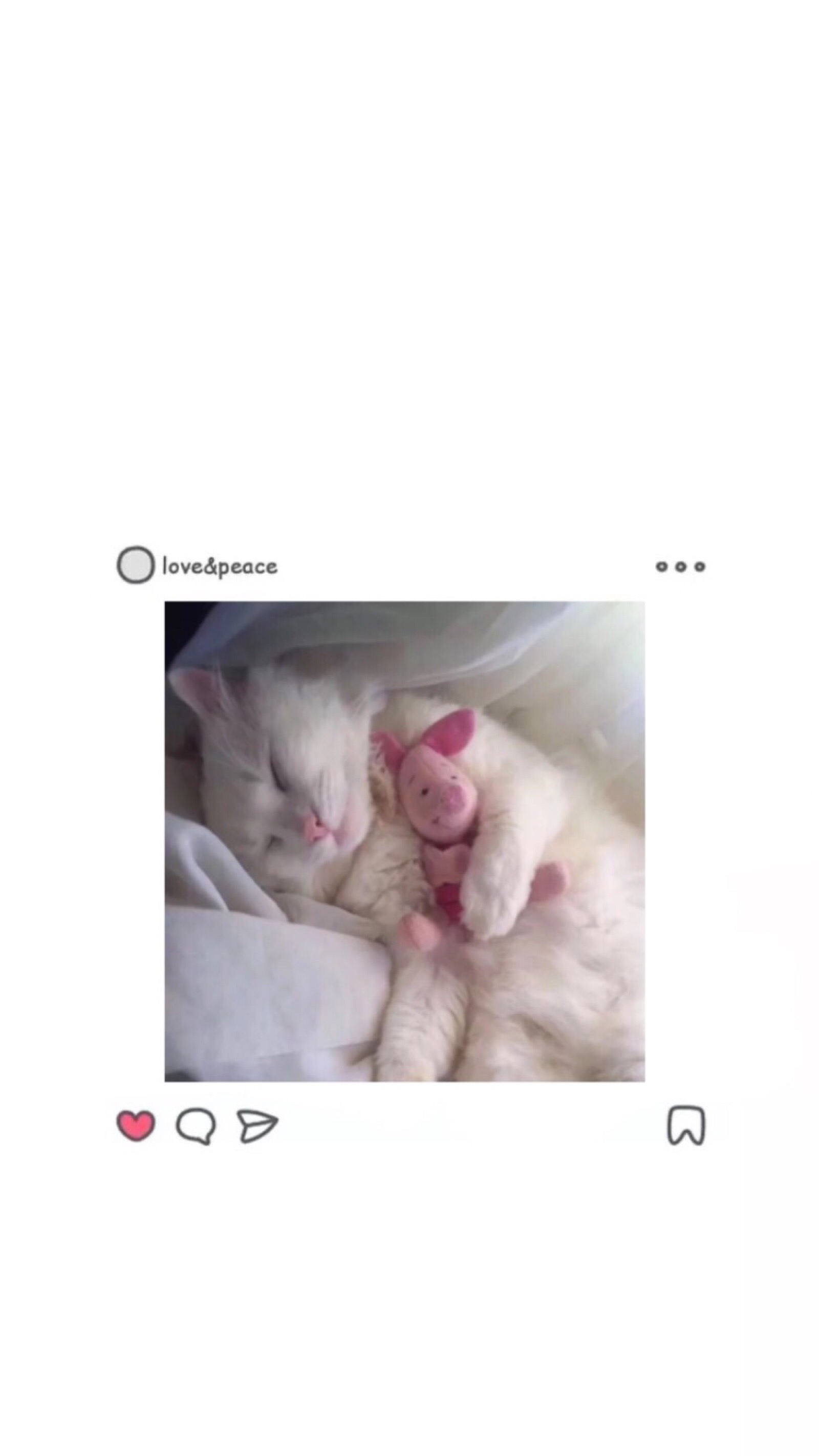 ins壁纸 少女心 背景粉色