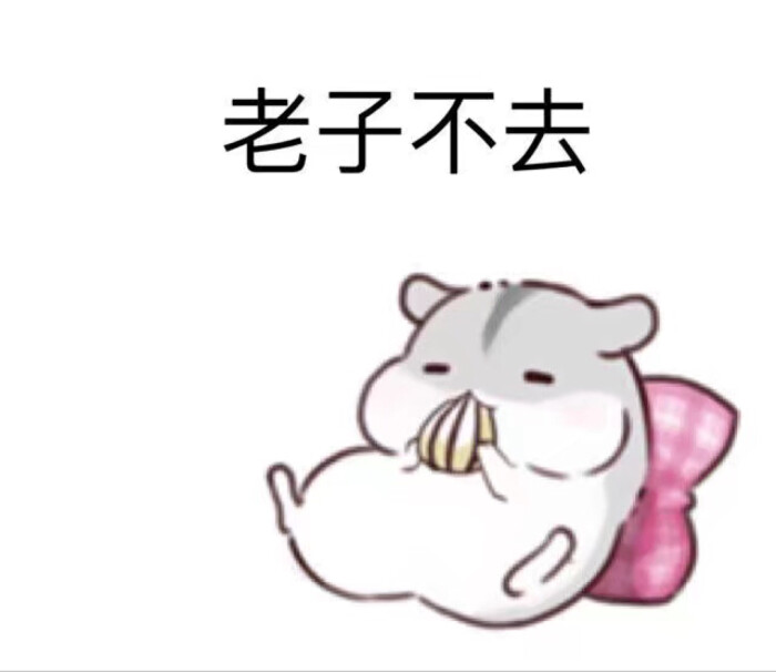 日常 搞笑 可爱 仓鼠表情包 (046604)