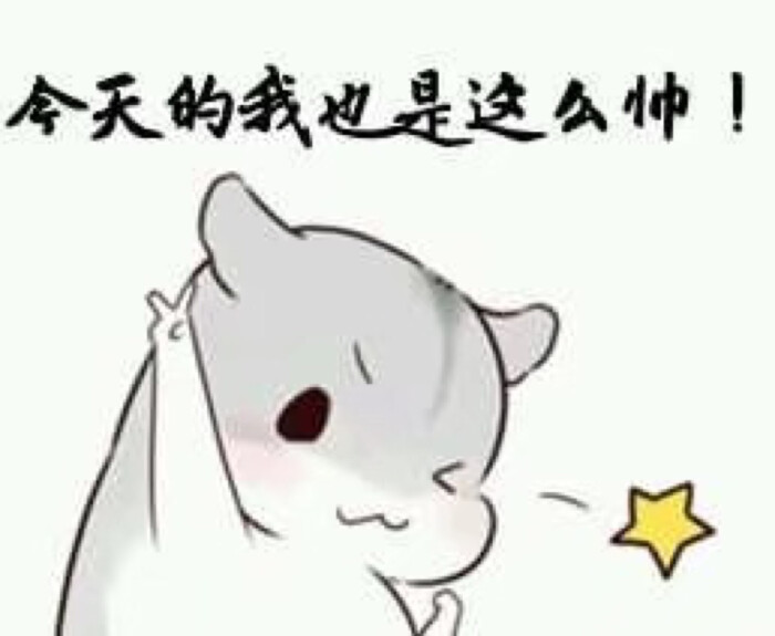 日常 搞笑 可爱 仓鼠表情包 (046604)