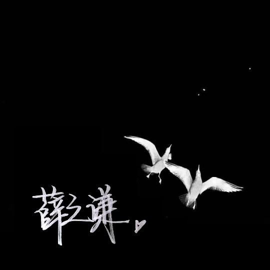 薛之谦 文字背景