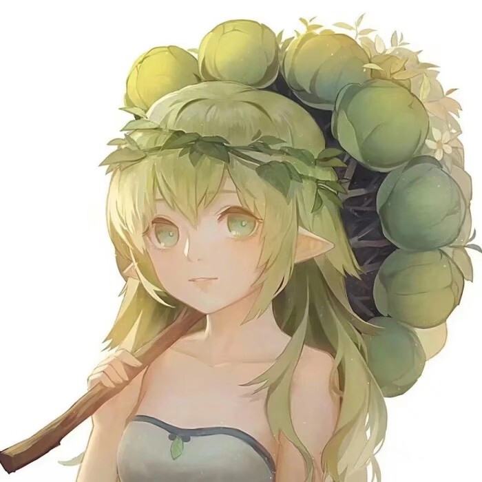精灵 少女
