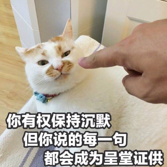 表情包 狗命要紧